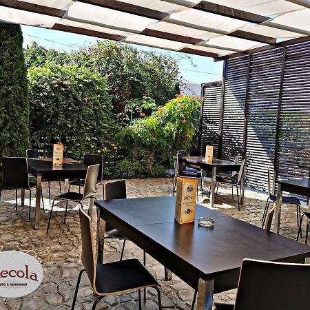 במוטל באנסטי International Recola מראה חיצוני תמונה